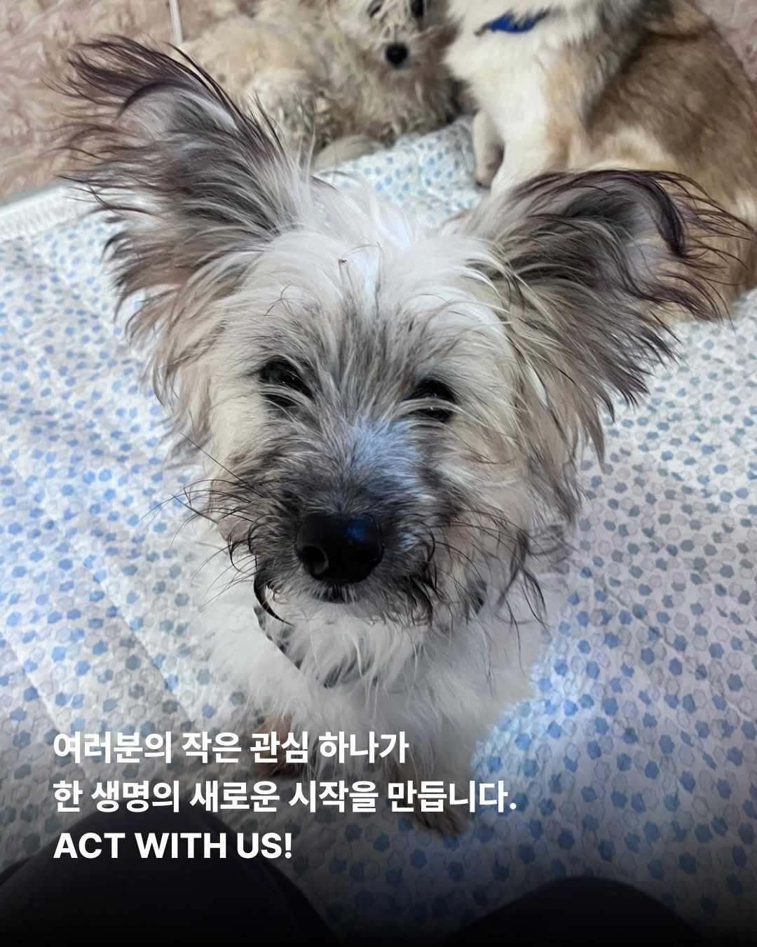 상세 사진 10