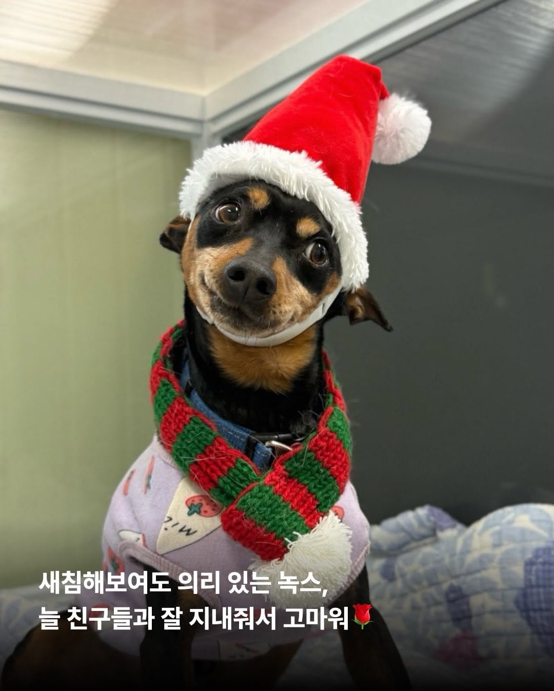상세 사진 8