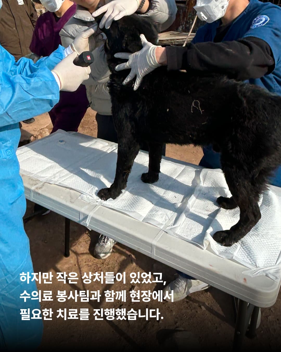 상세 사진 4