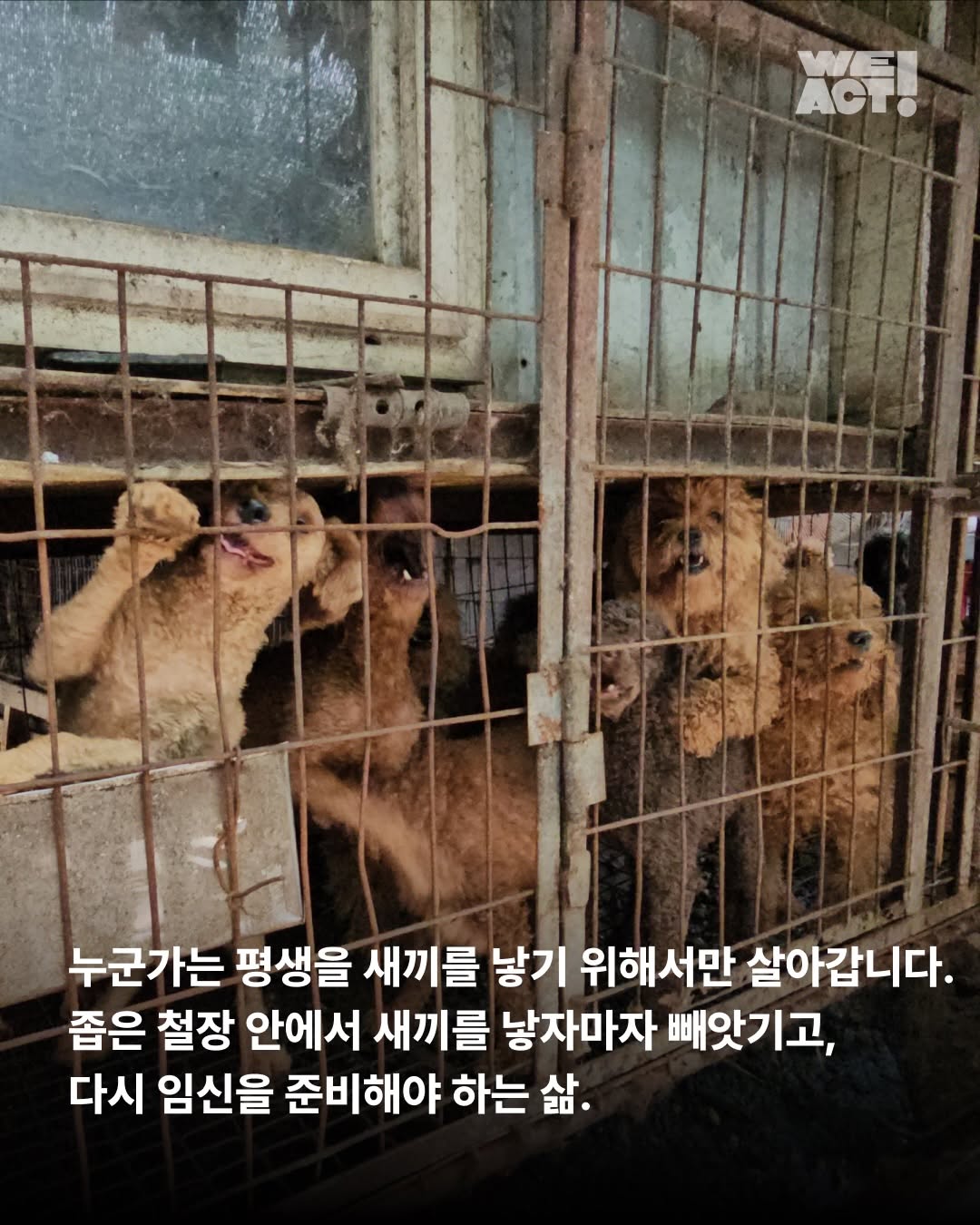 상세 사진 2