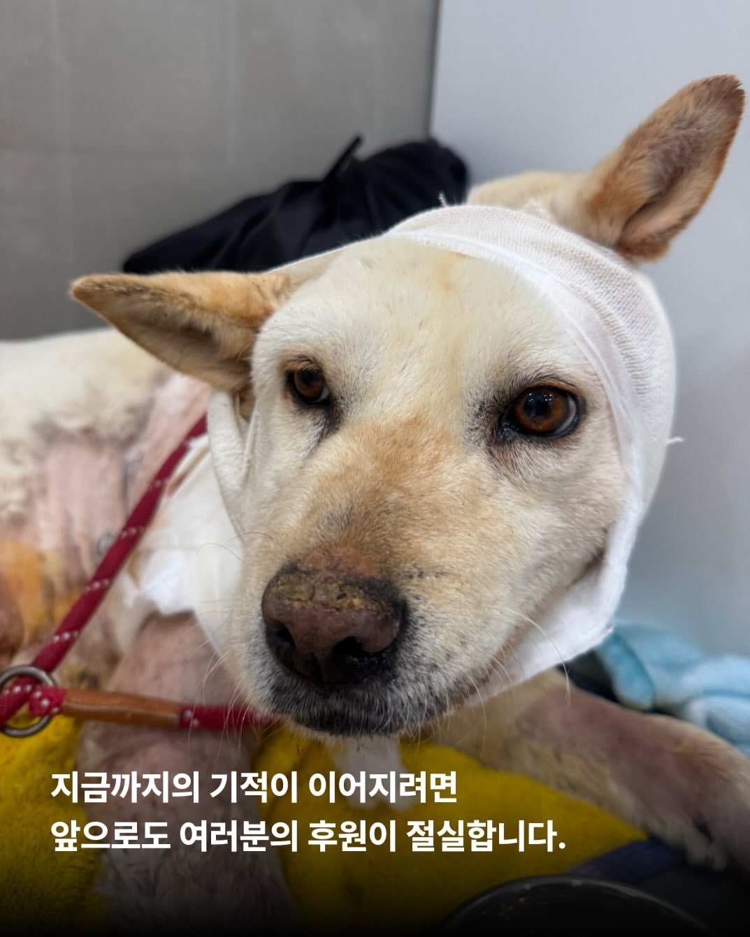 상세 사진 9