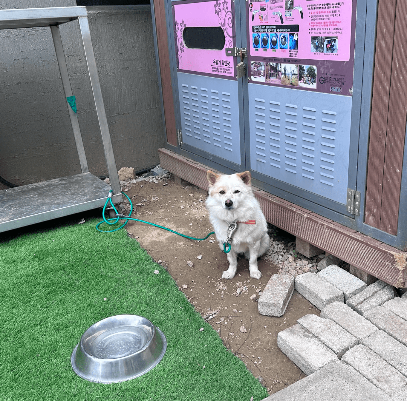상세 사진 1
