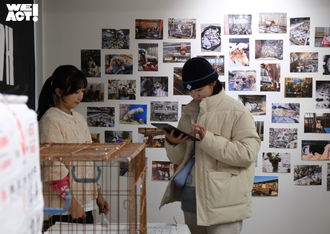 상세 사진 5