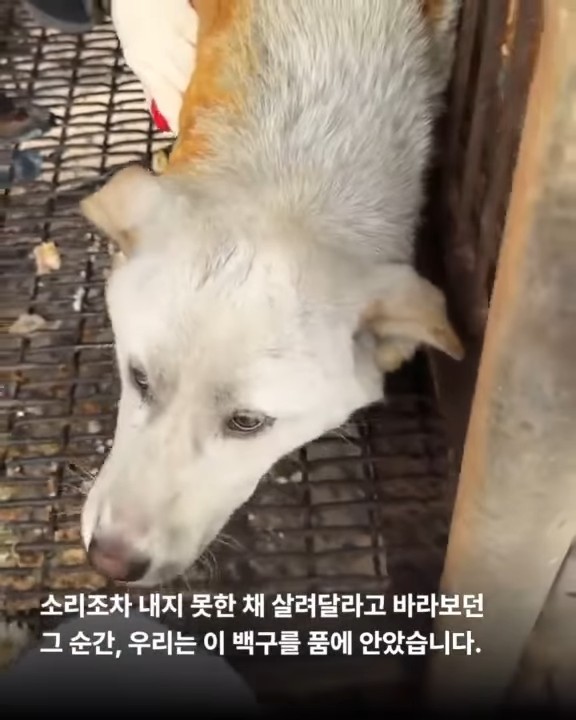 상세 사진 6