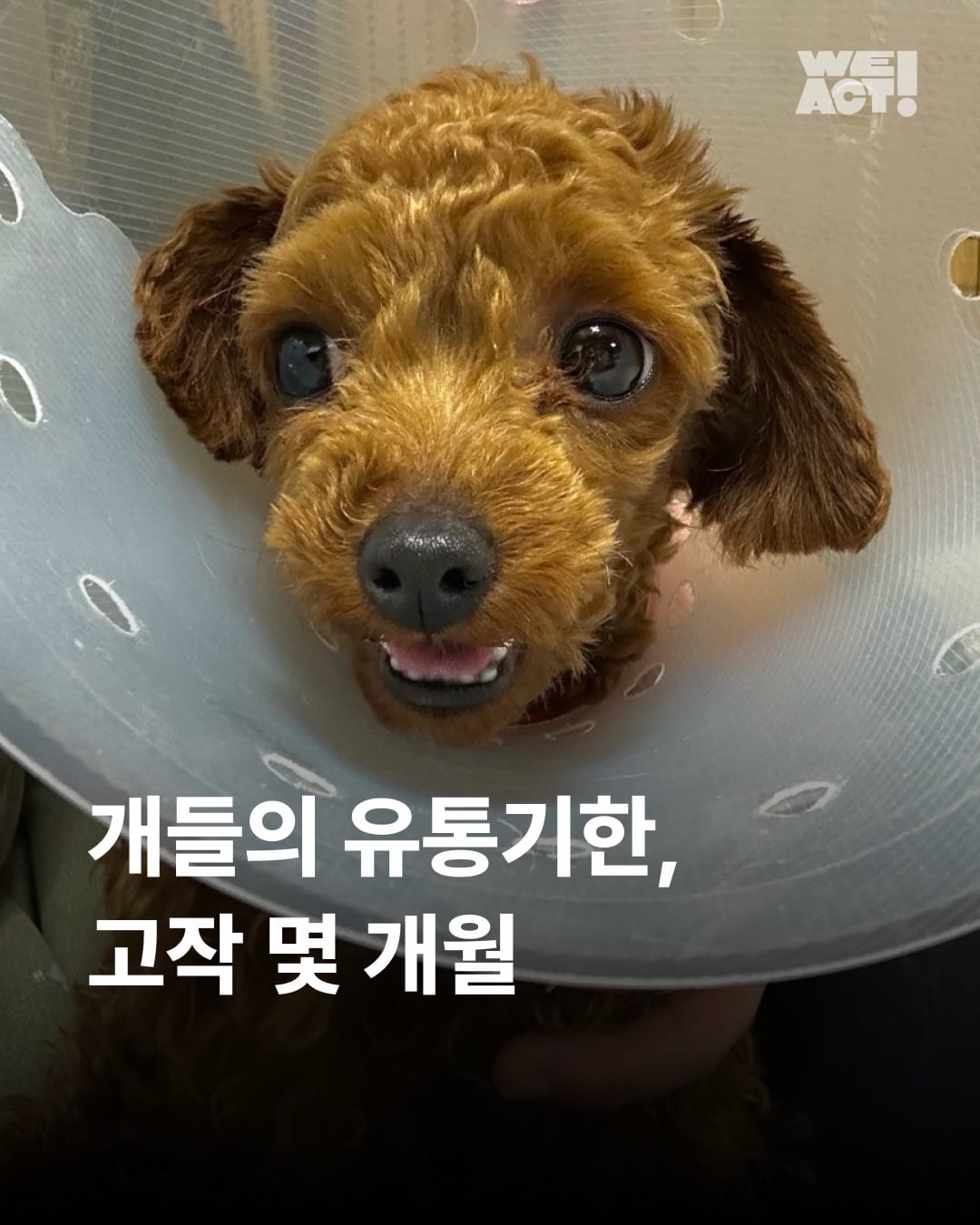 상세 사진 1