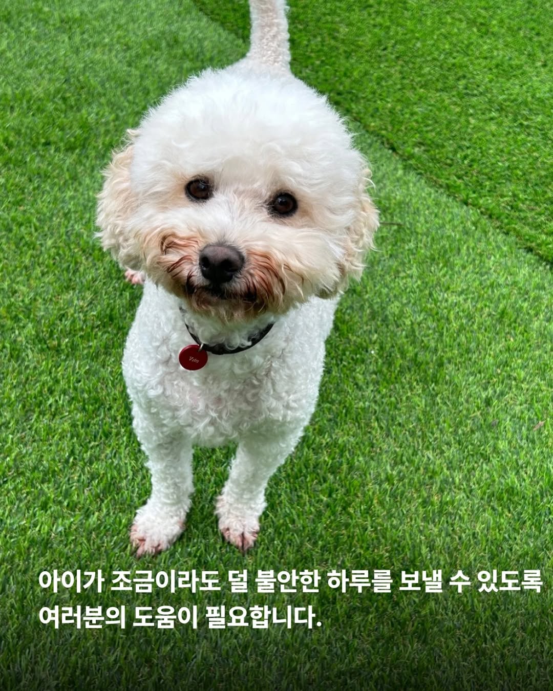 상세 사진 9
