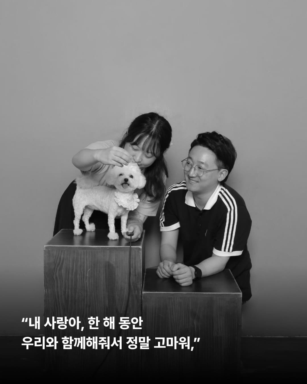 상세 사진 9