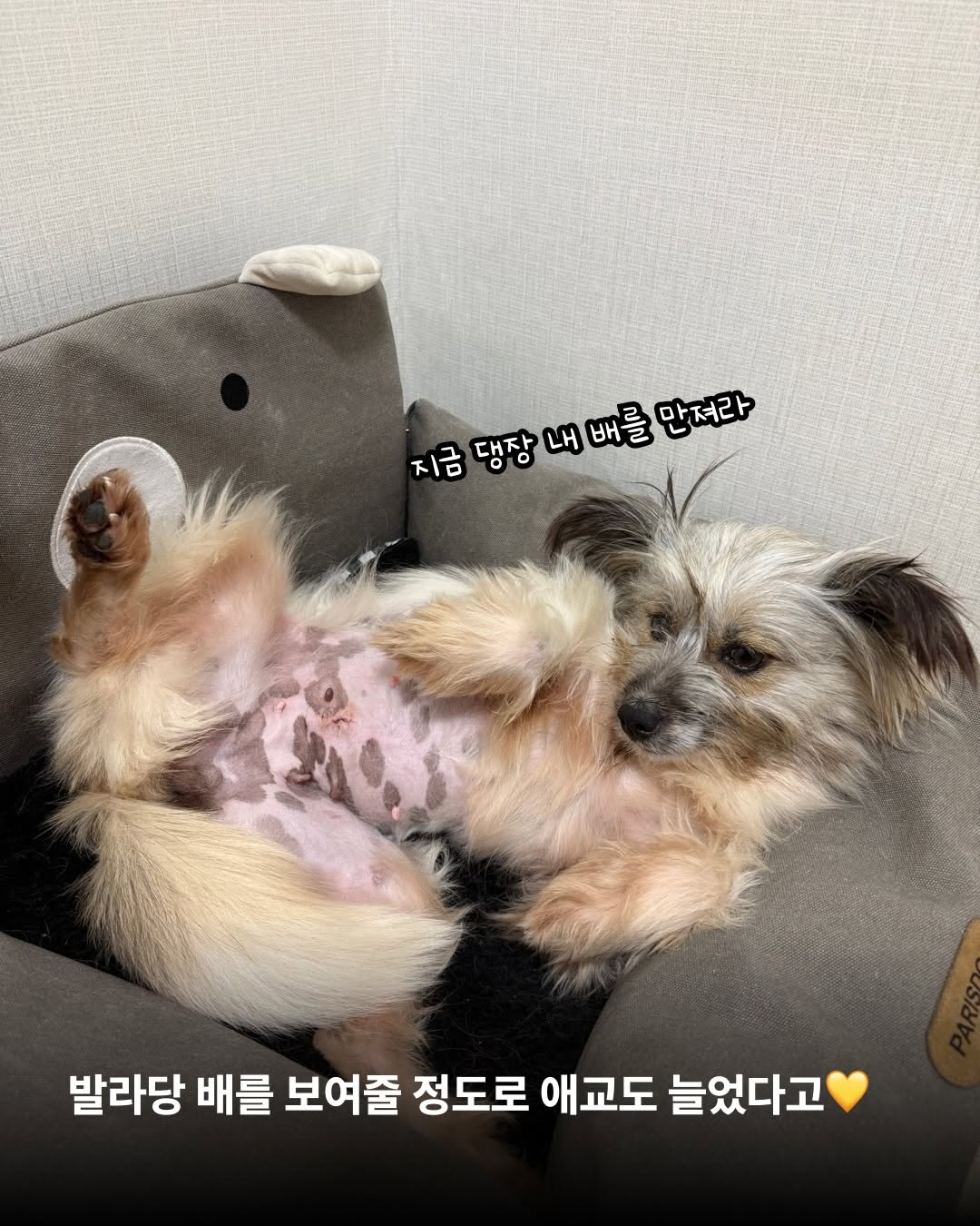 상세 사진 4