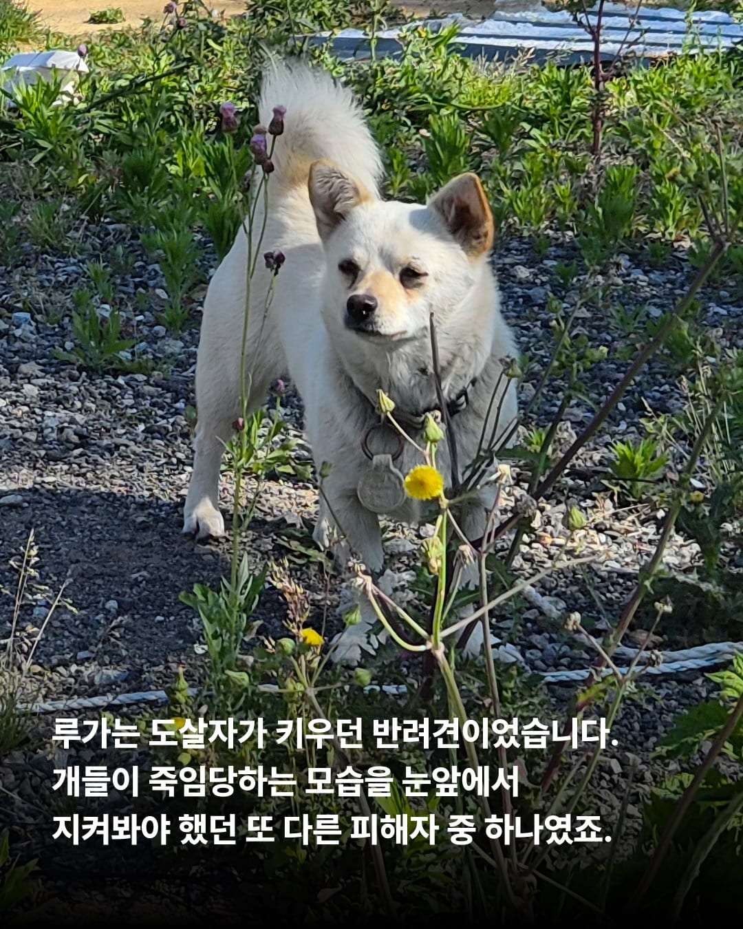 상세 사진 2