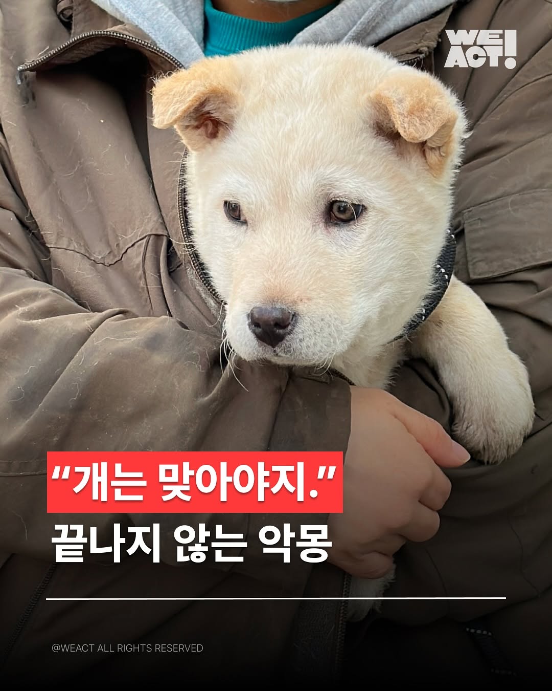 상세 사진 1