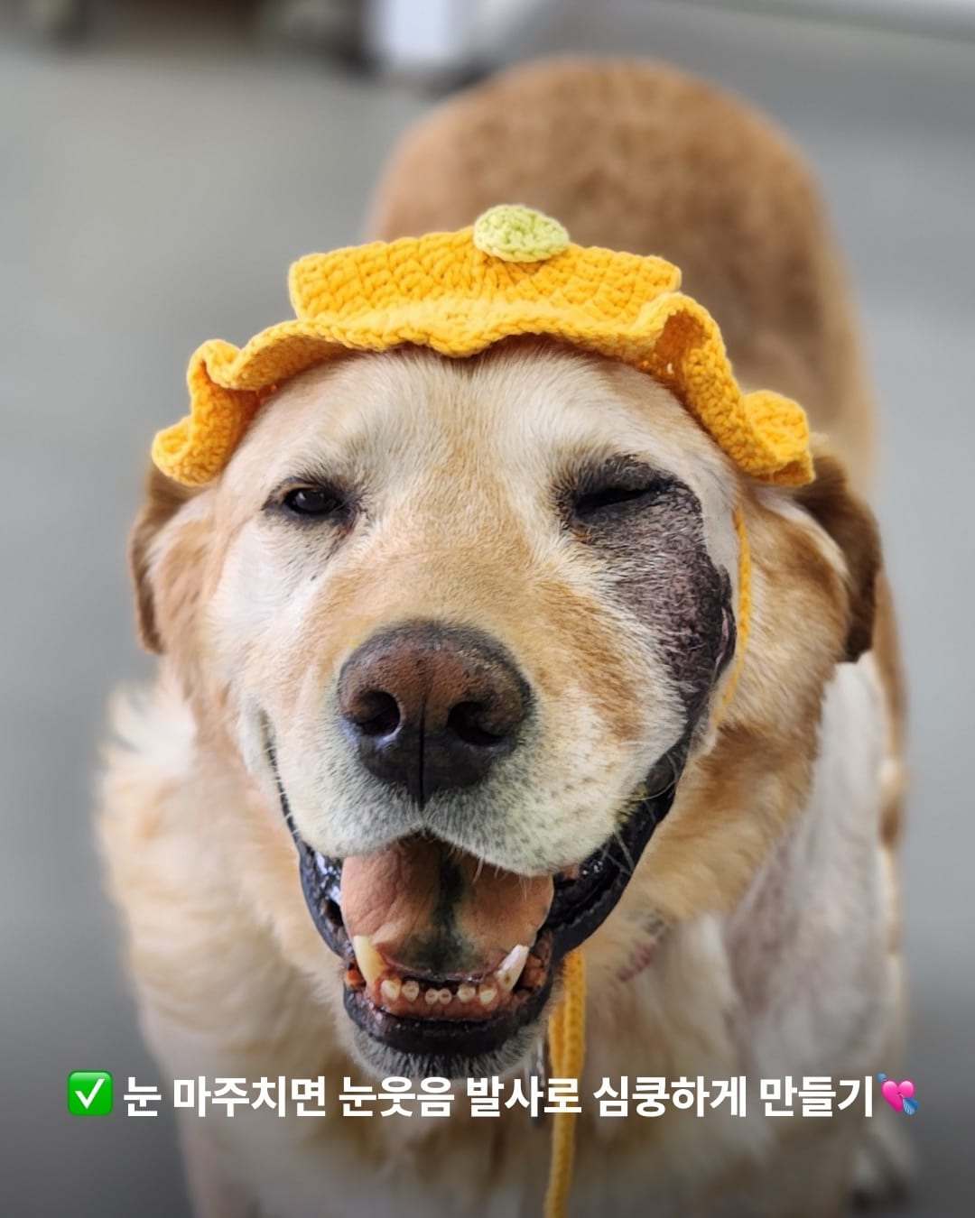 상세 사진 3