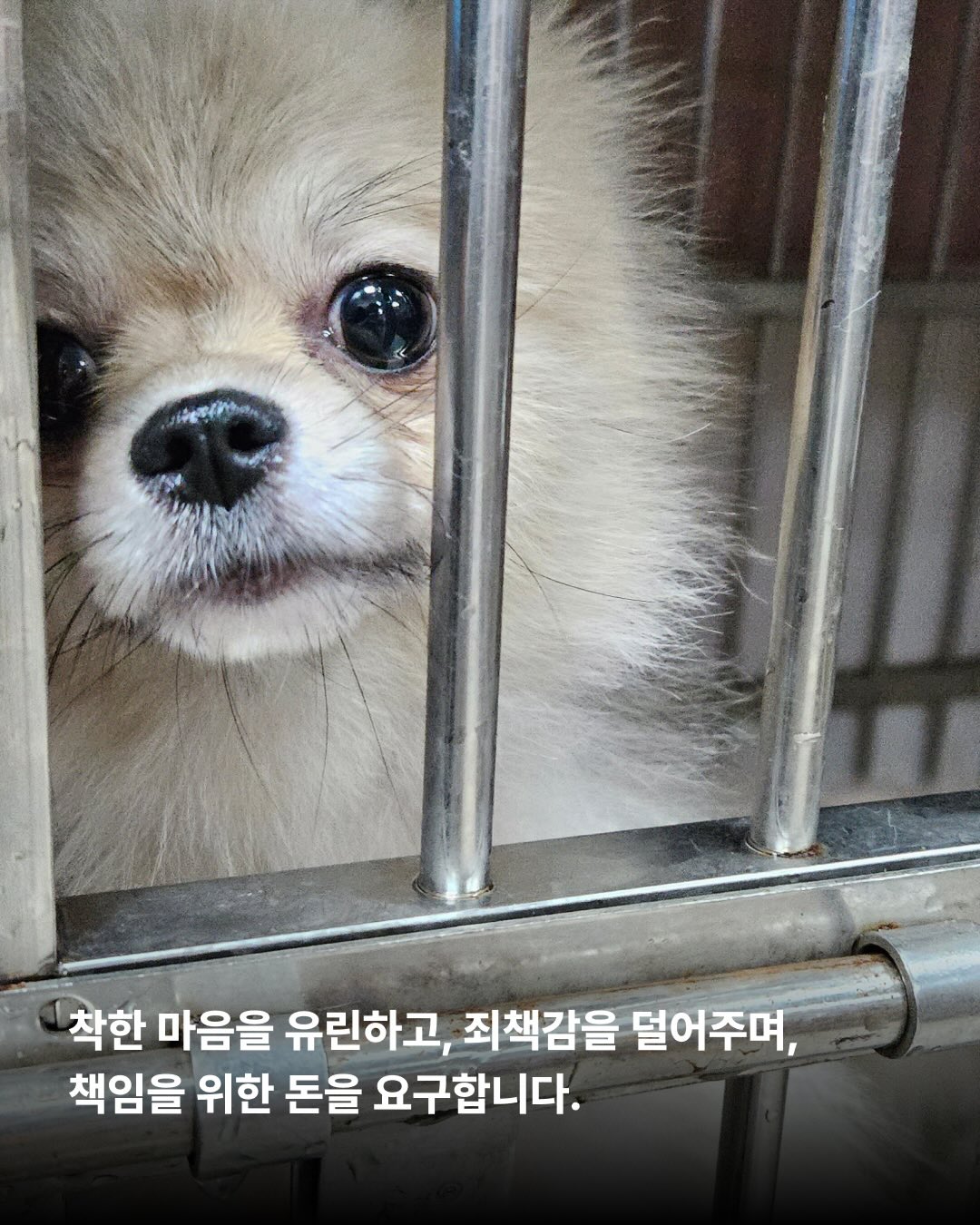 상세 사진 7