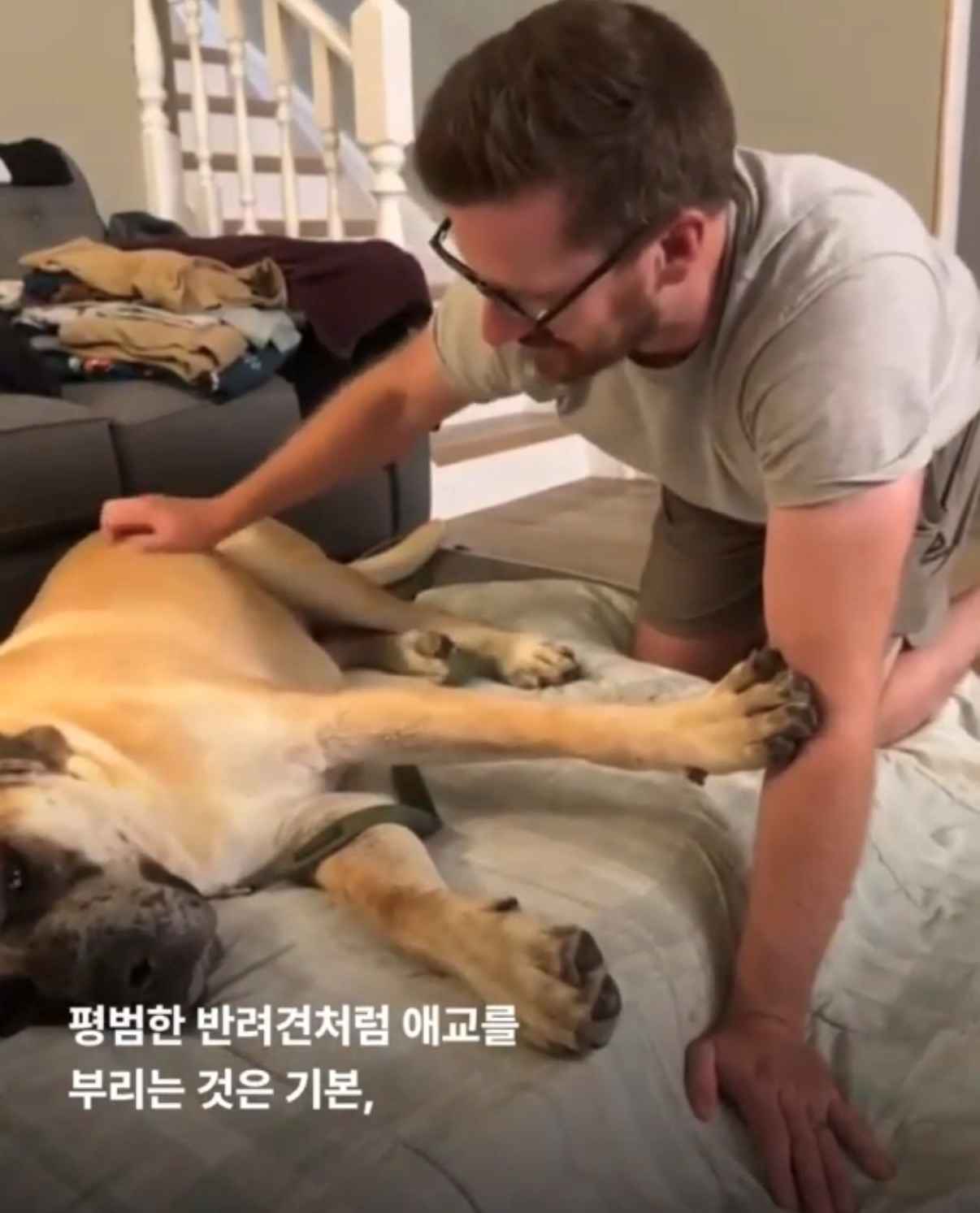 상세 사진 7