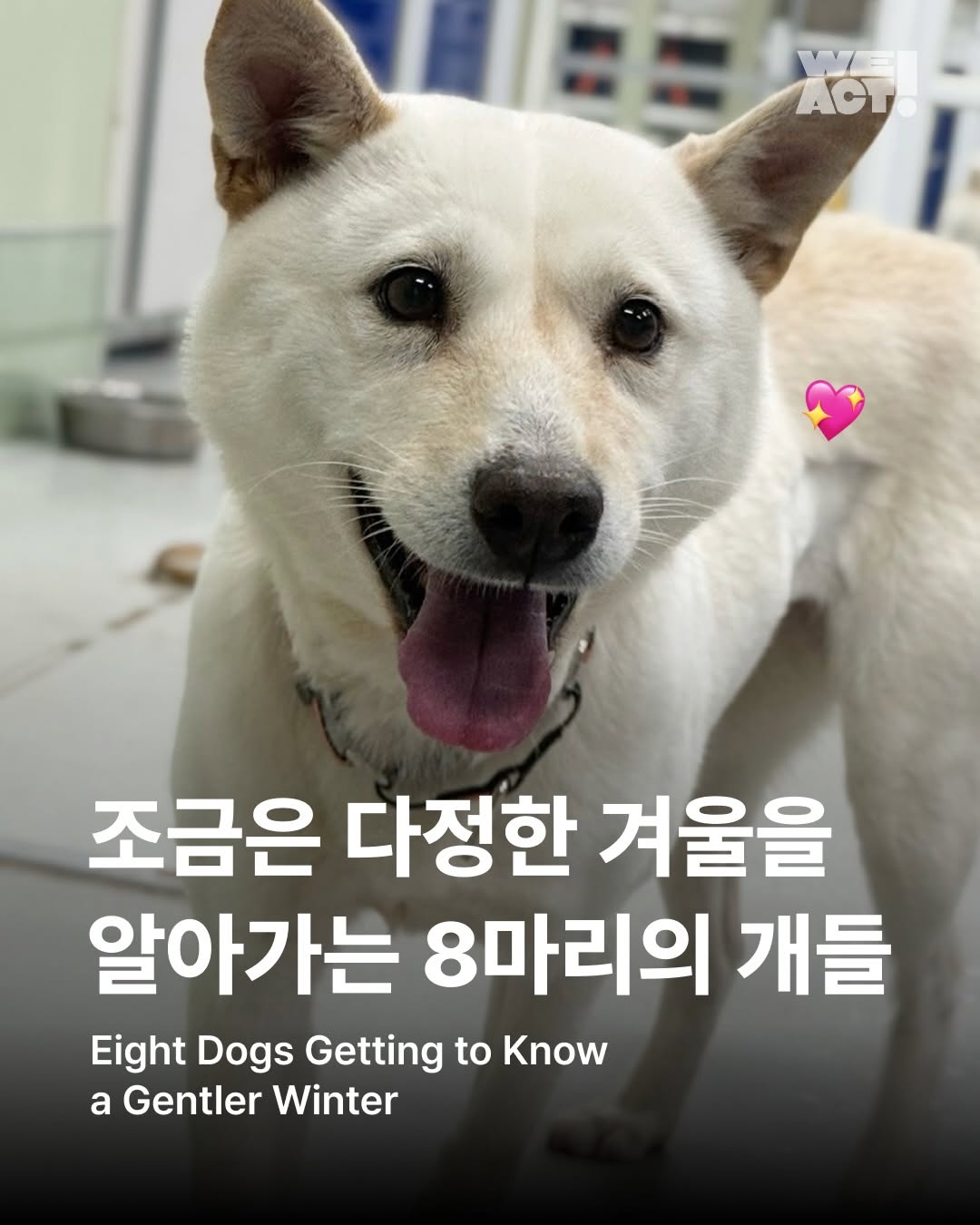 상세 사진 1
