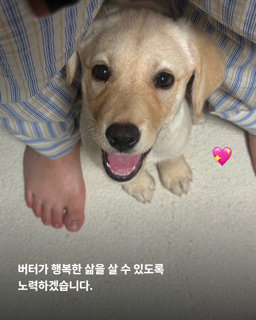 상세 사진 14