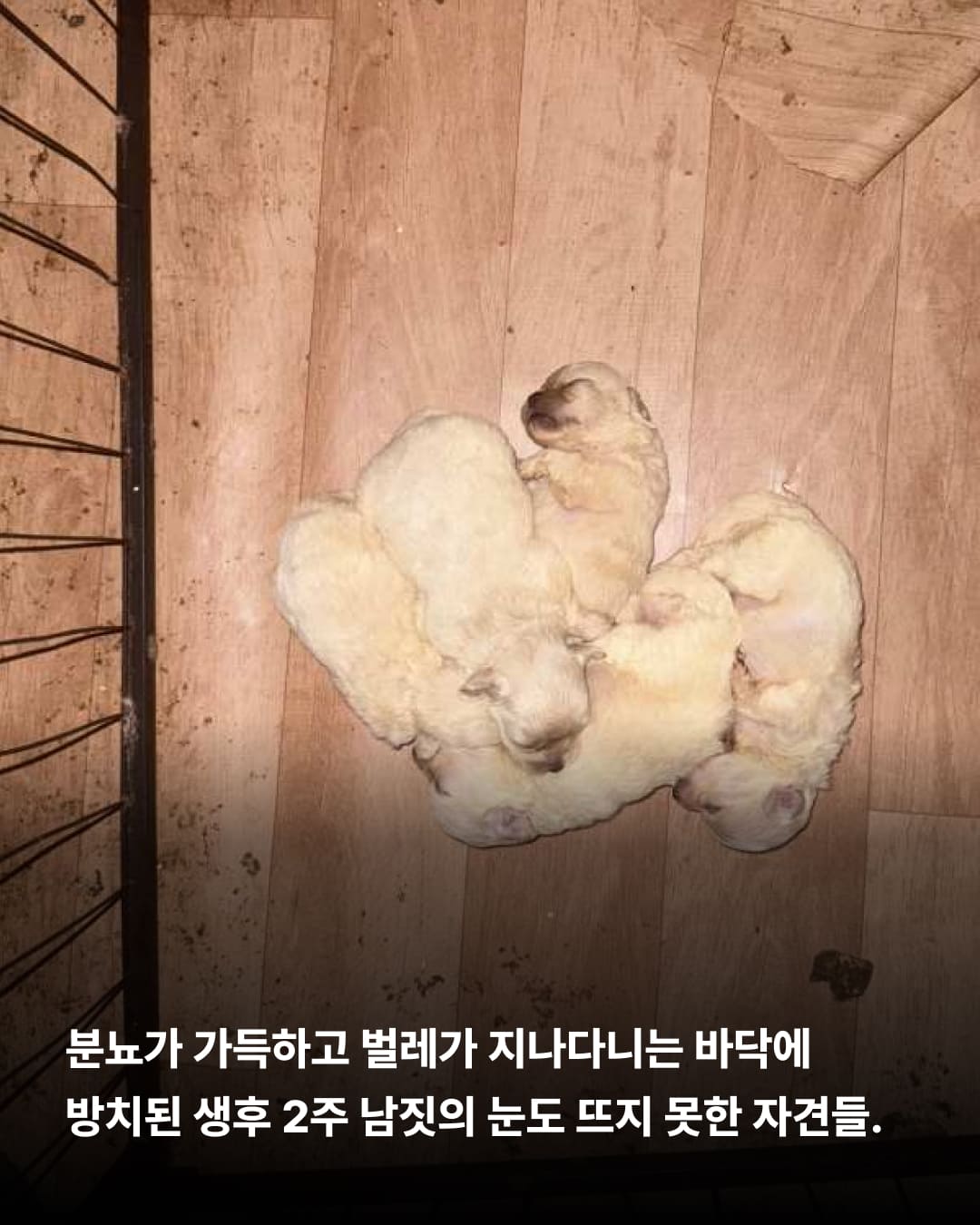 상세 사진 3
