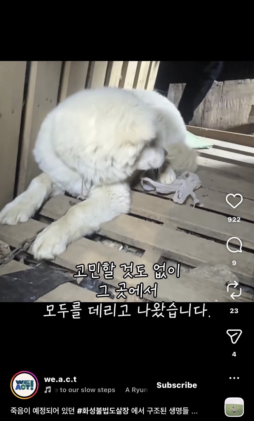 상세 사진 4