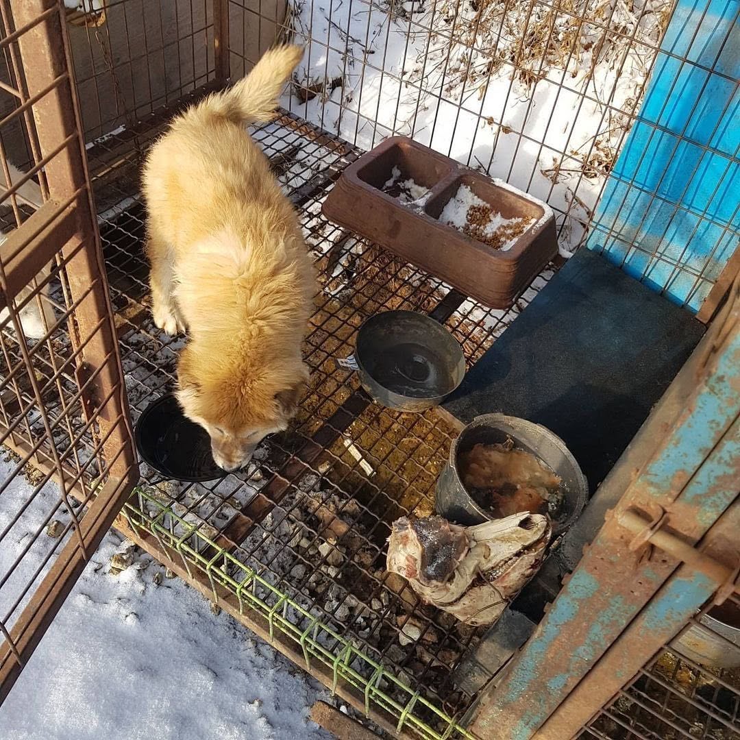 상세 사진 1