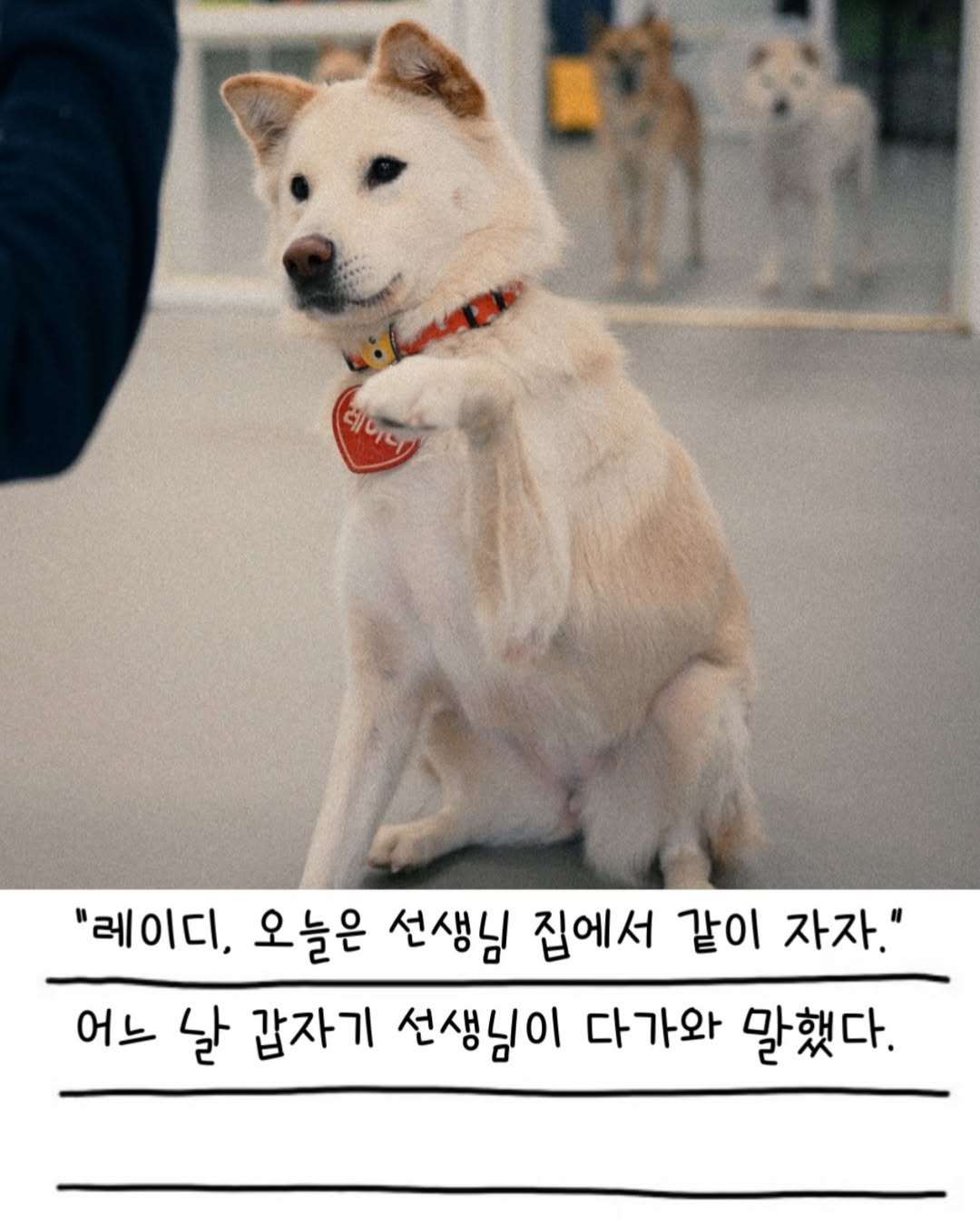상세 사진 2