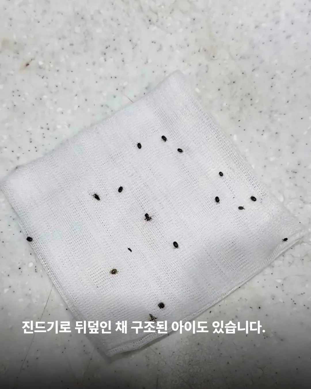 상세 사진 10
