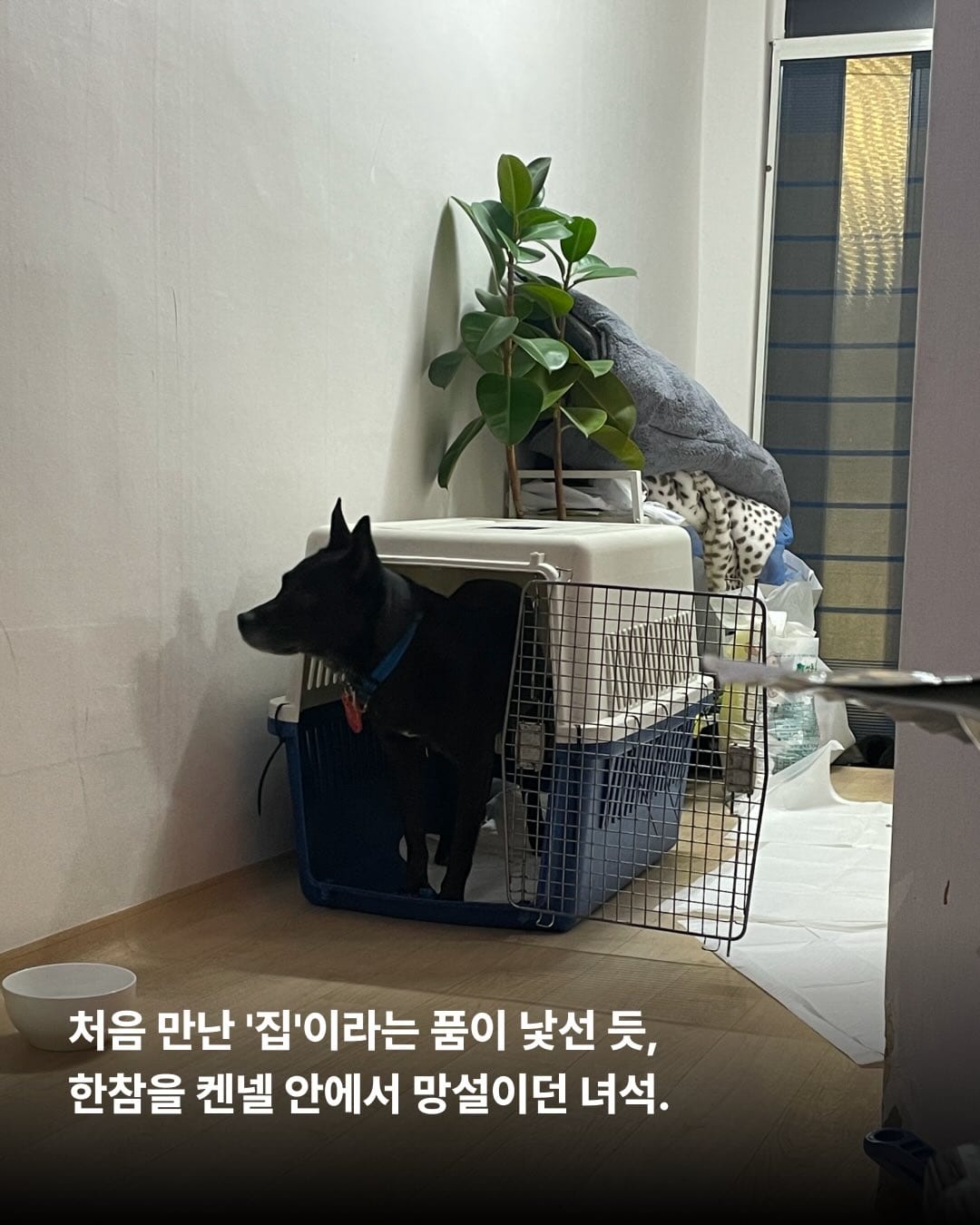 상세 사진 3