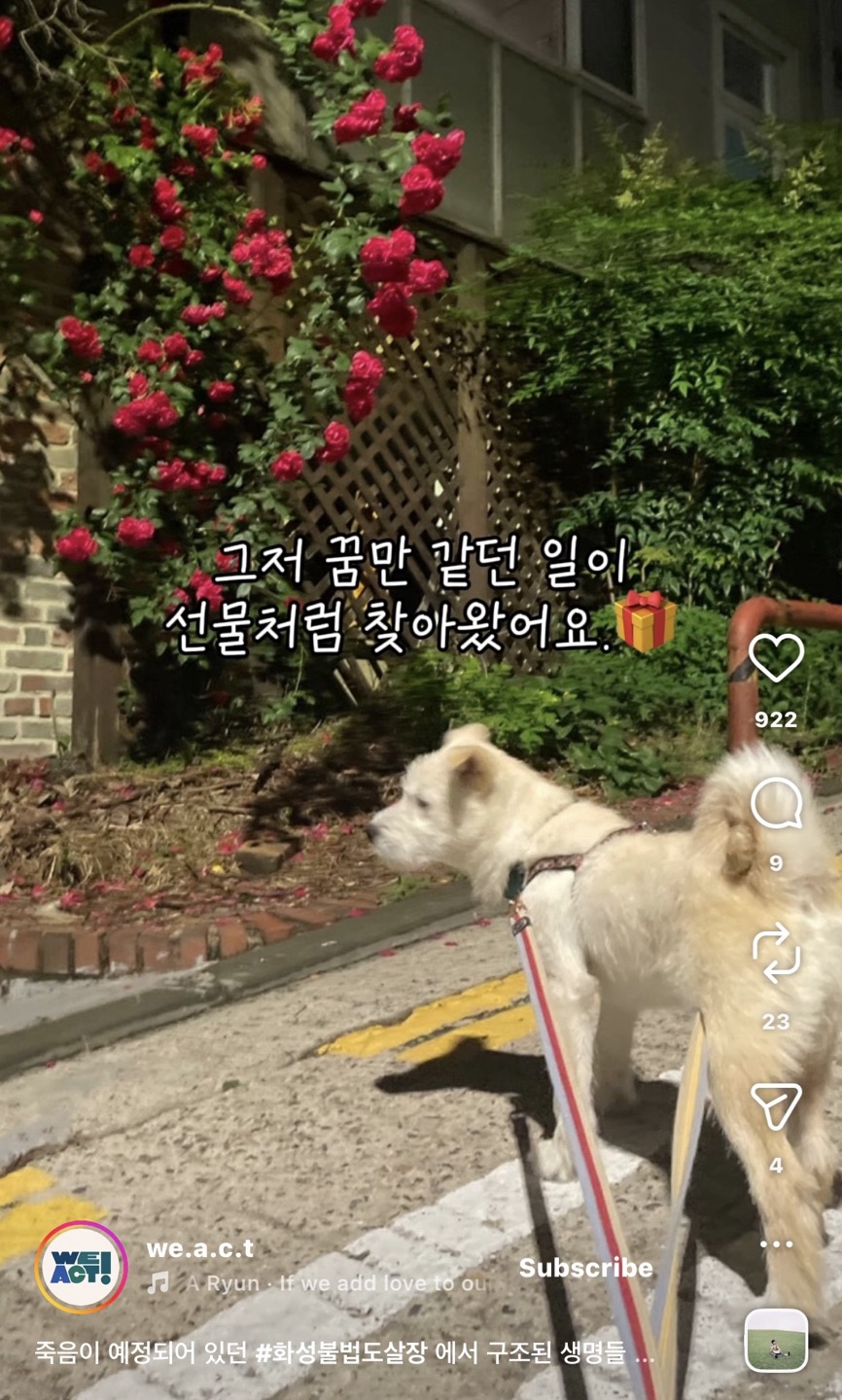 상세 사진 11