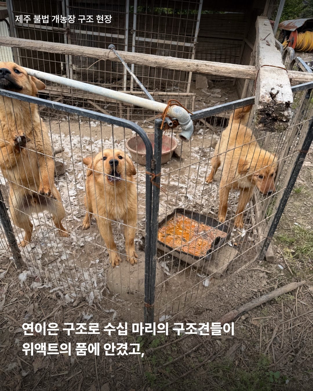 상세 사진 4