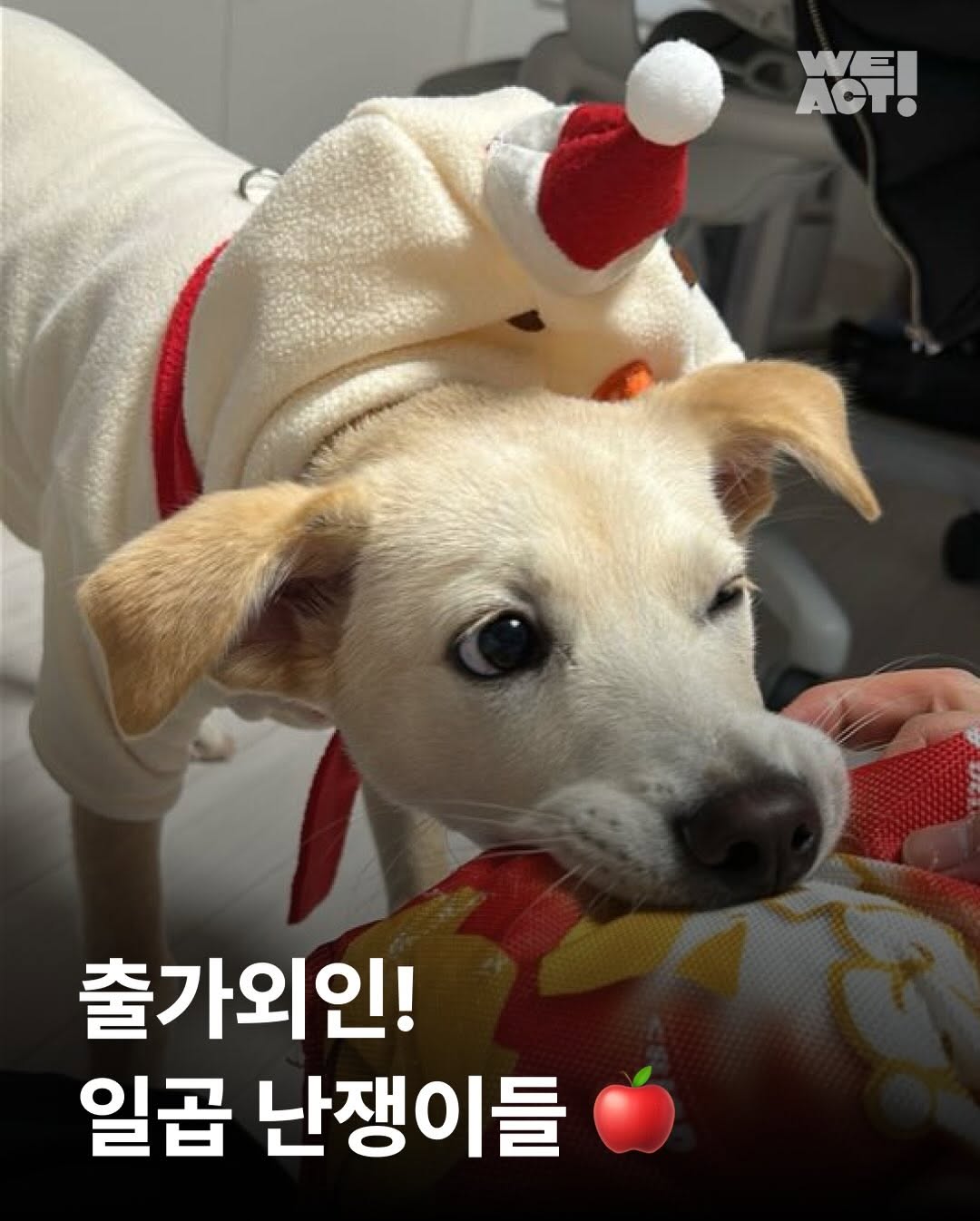 상세 사진 1