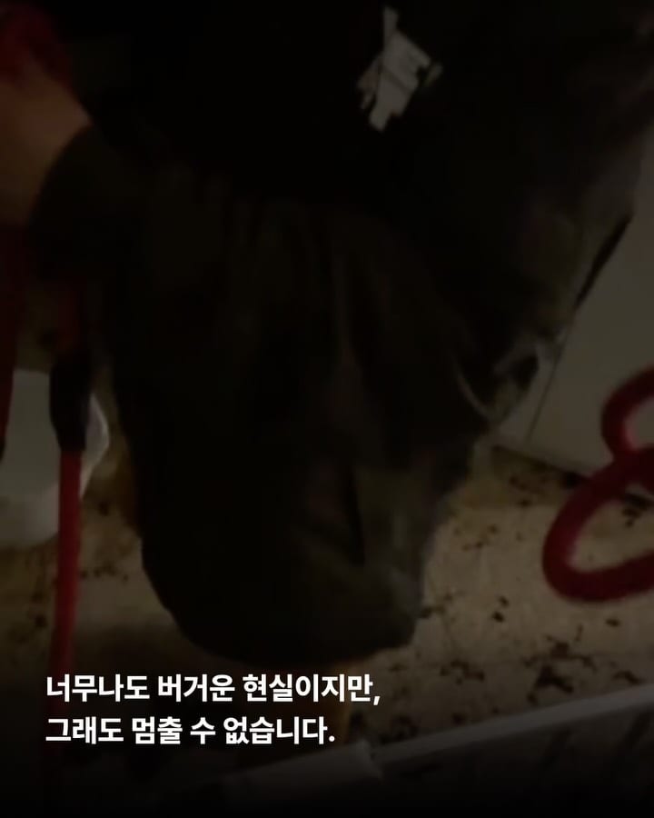 상세 사진 12