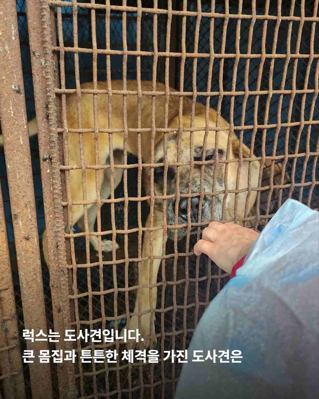 상세 사진 2