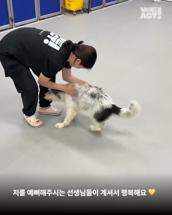 상세 사진 8