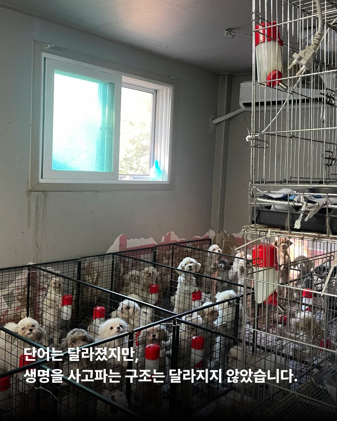 상세 사진 6