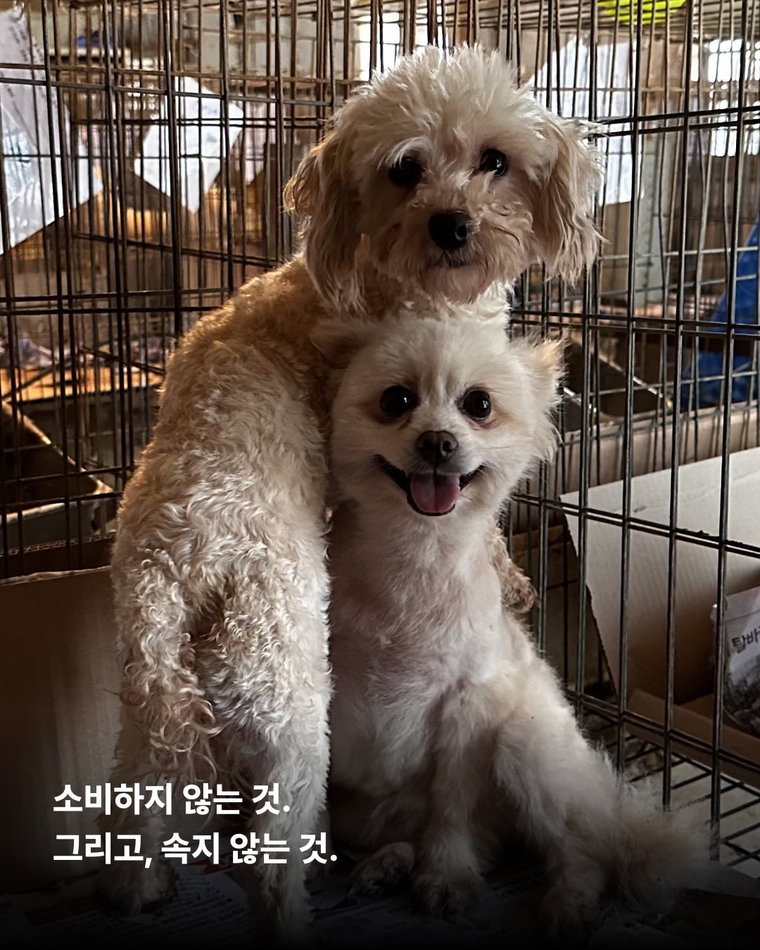 상세 사진 9