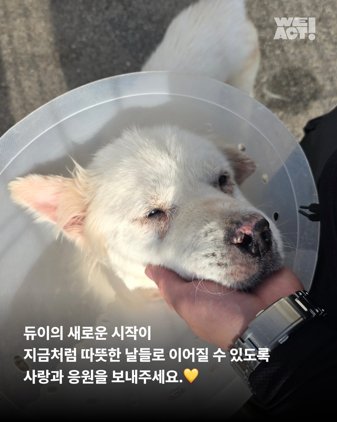 상세 사진 6