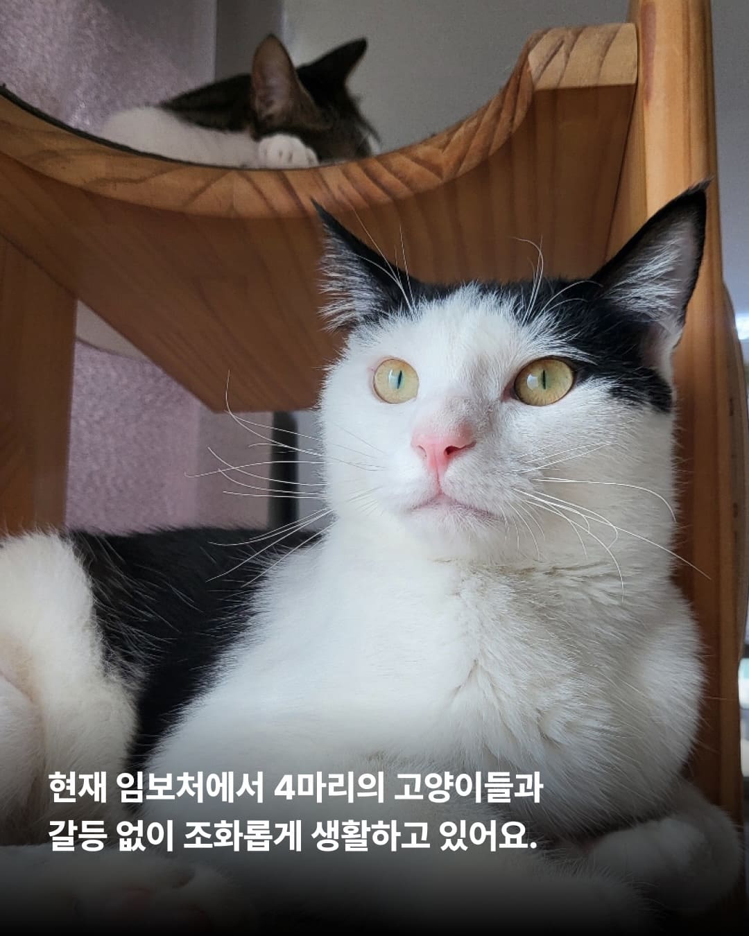 상세 사진 8