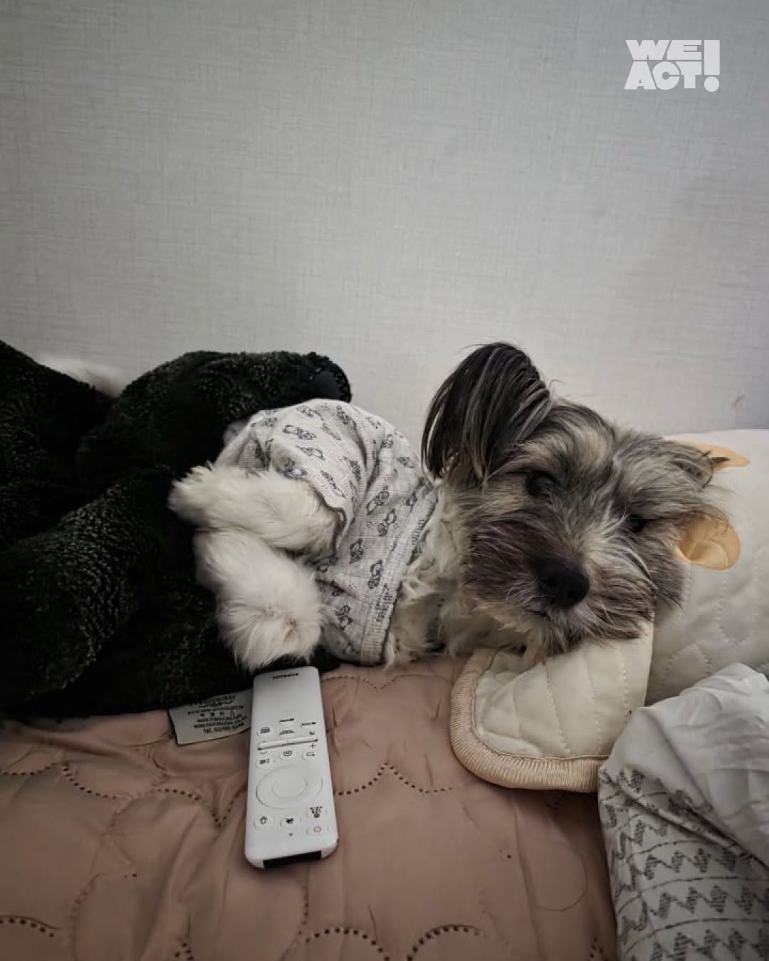 상세 사진 12