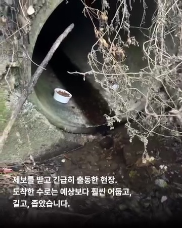 상세 사진 2