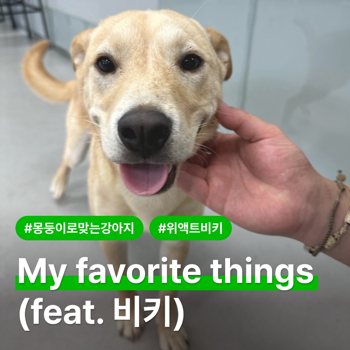 상세 사진 1