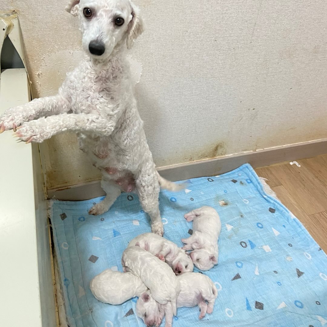 상세 사진 5