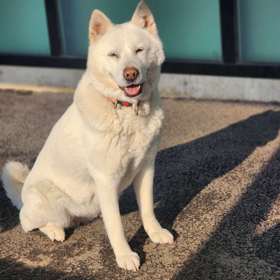 Chloe