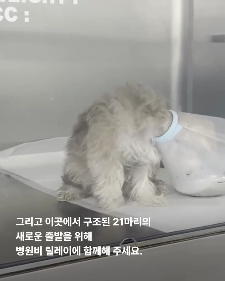 상세 사진 19