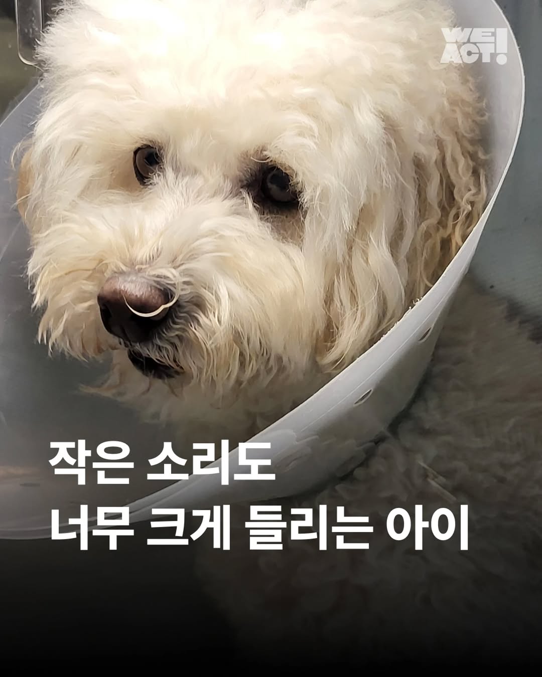 상세 사진 1