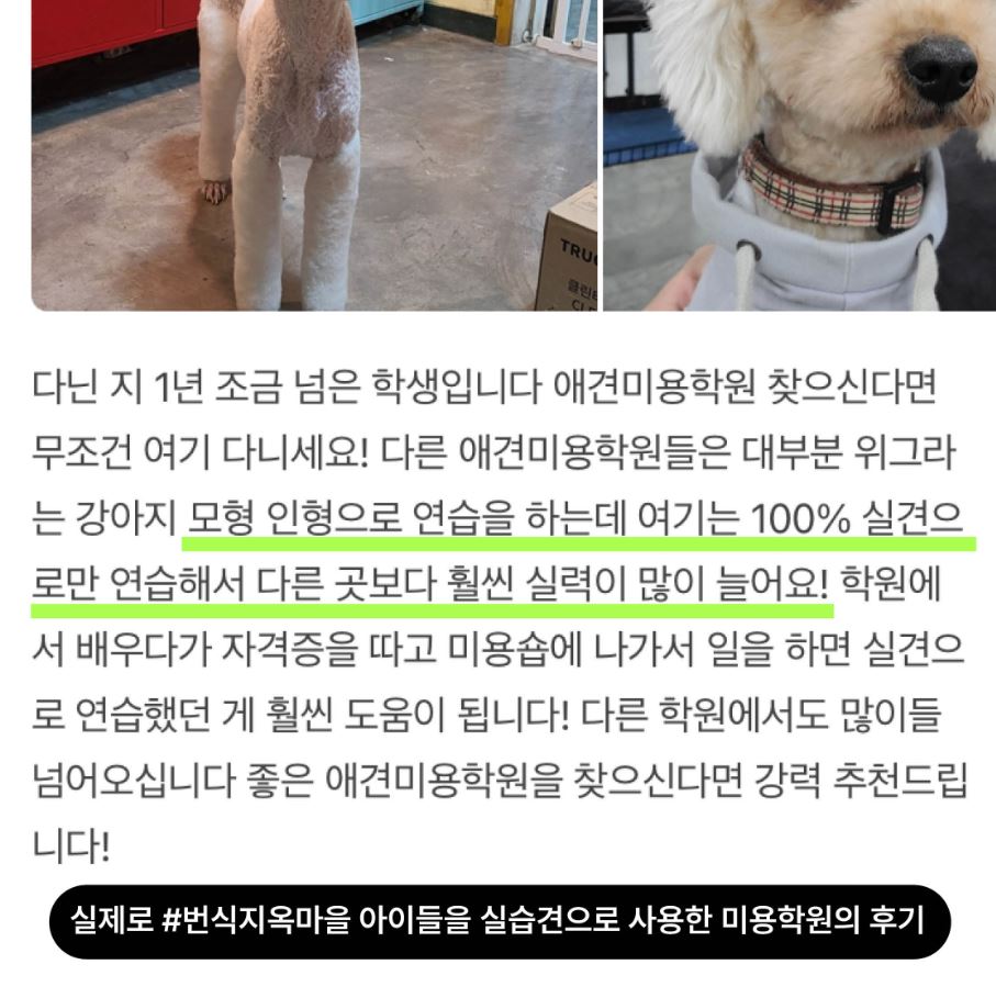 상세 사진 6