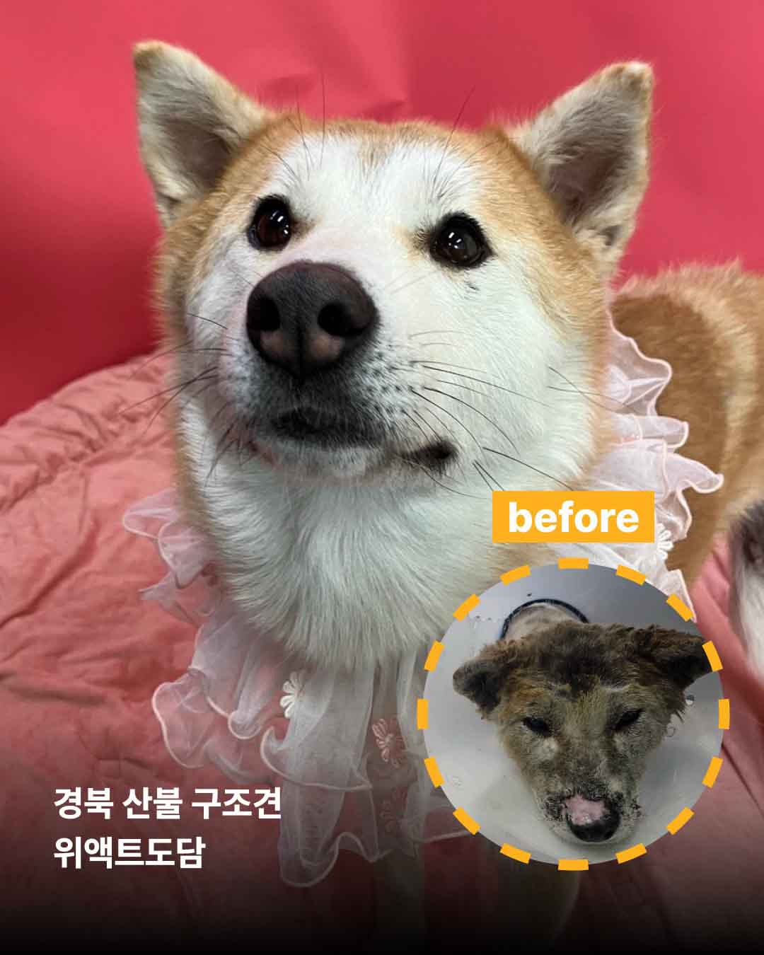 상세 사진 6