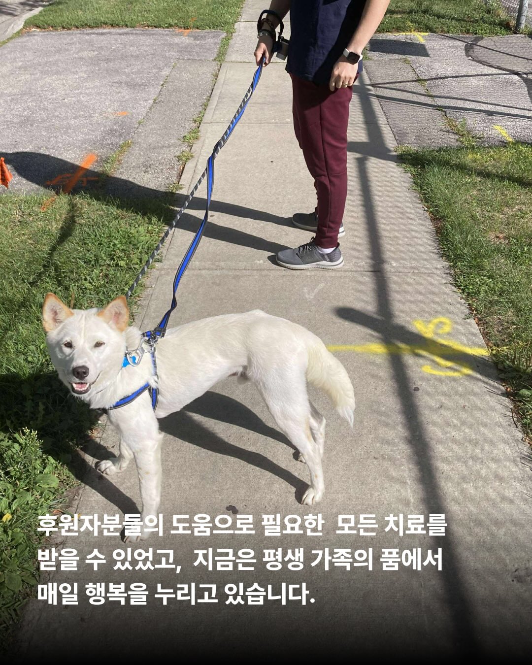 상세 사진 8
