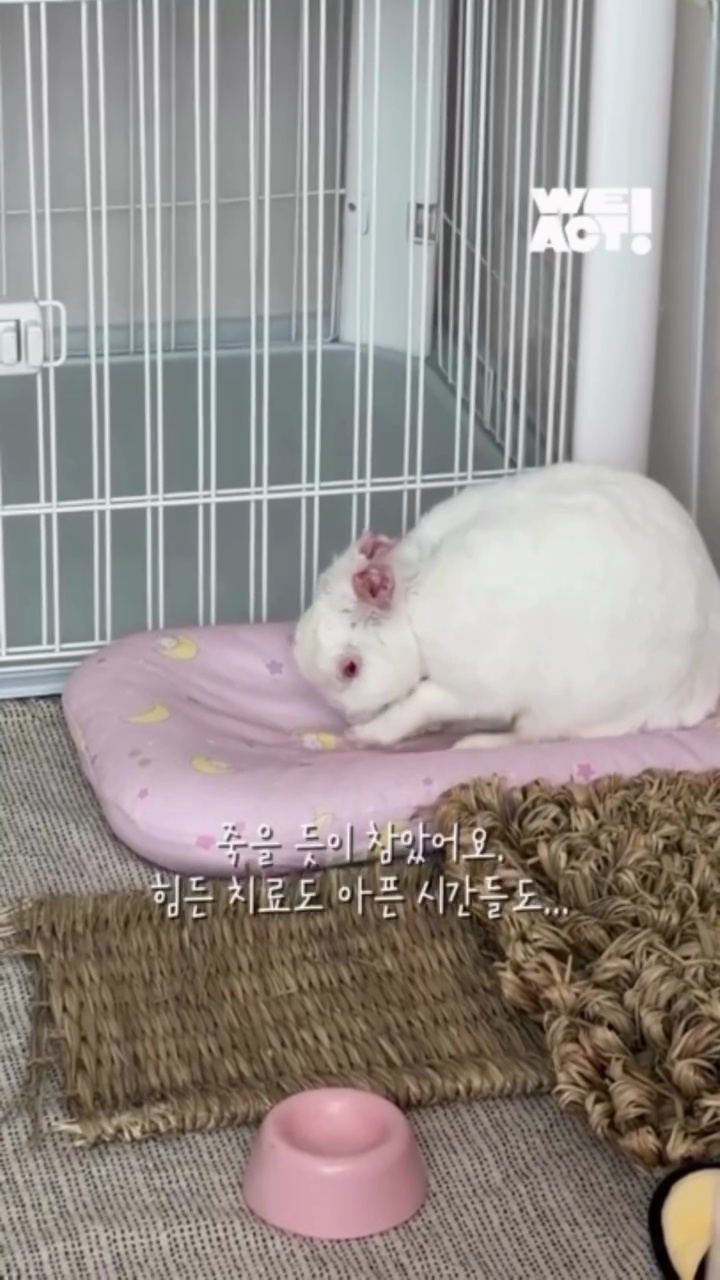 상세 사진 1