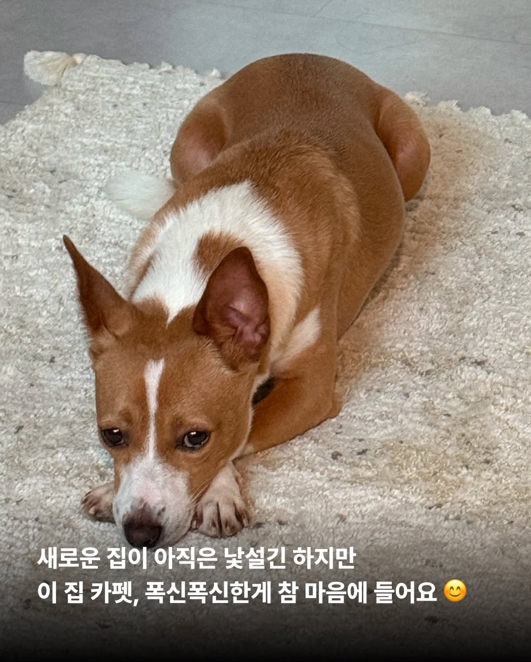상세 사진 10