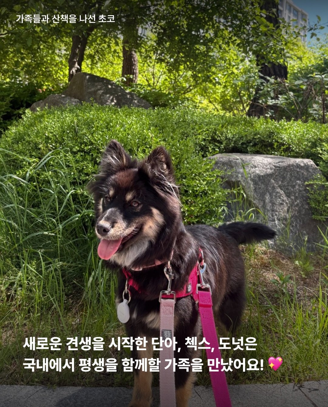상세 사진 5