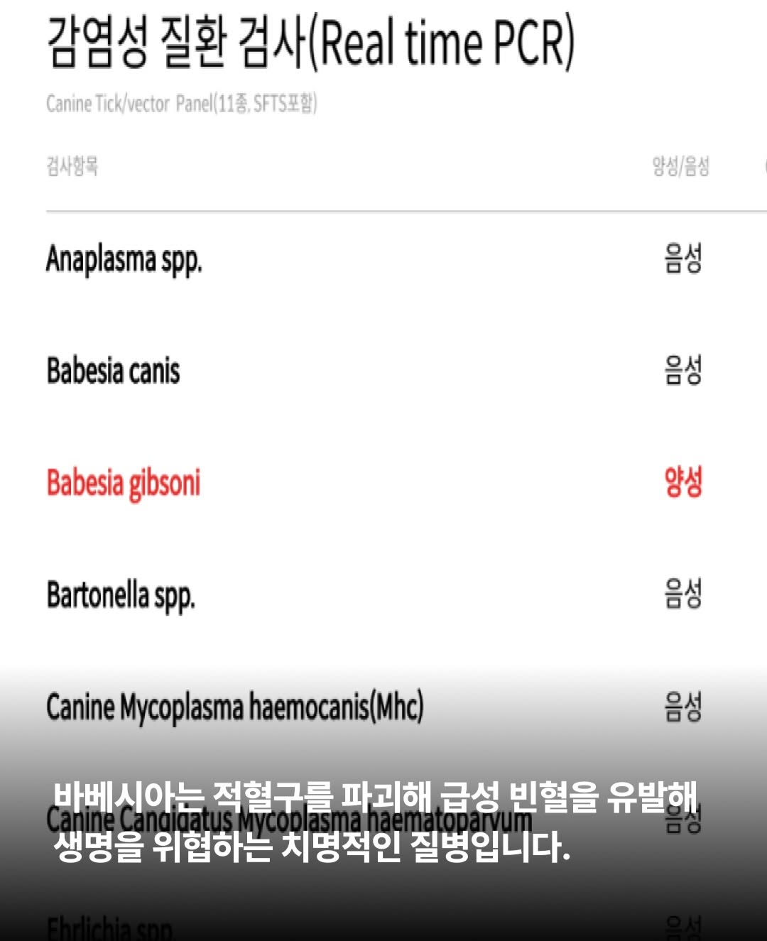 상세 사진 4