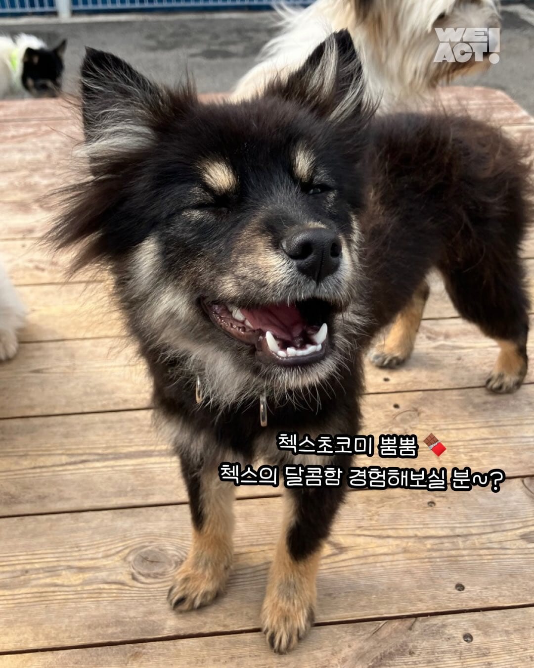 상세 사진 12